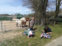 ein Bild aus dem Album