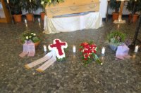 das zu meldende Bild